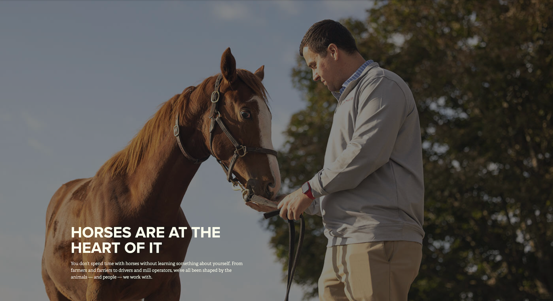 Horses Work thumbnail